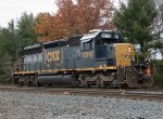 CSX 8019